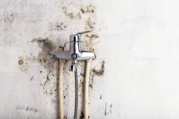 Best HVAC Mold Remediation in Nissequogue, NY